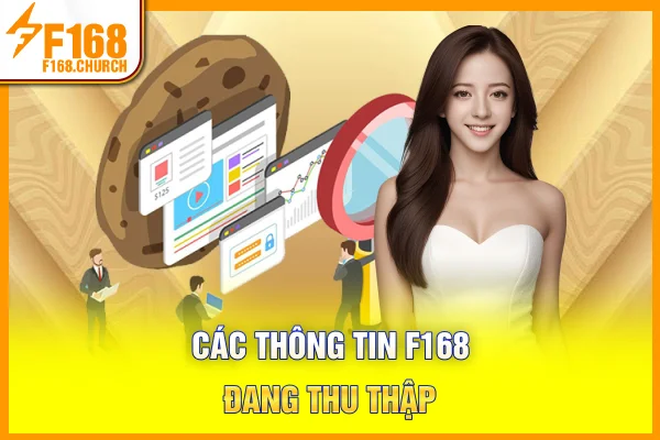 Các thông tin F168 đang thu thập